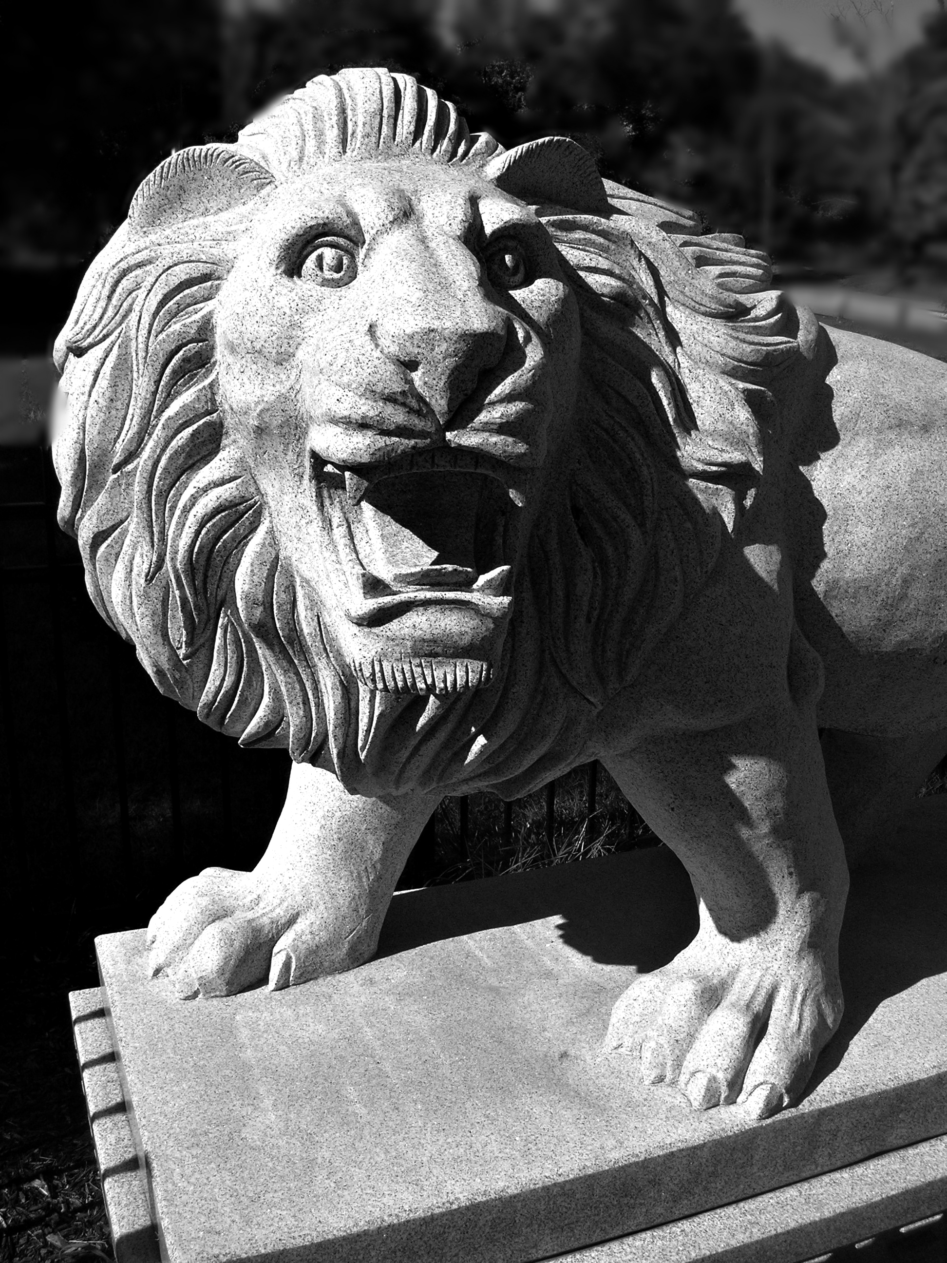 Leicester LIONS PARK 2